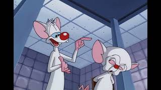 Pinky and the Brain - Good Idea Bad Idea