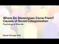 Where Do Stereotypes Come From? (Causes of Social Categorization)