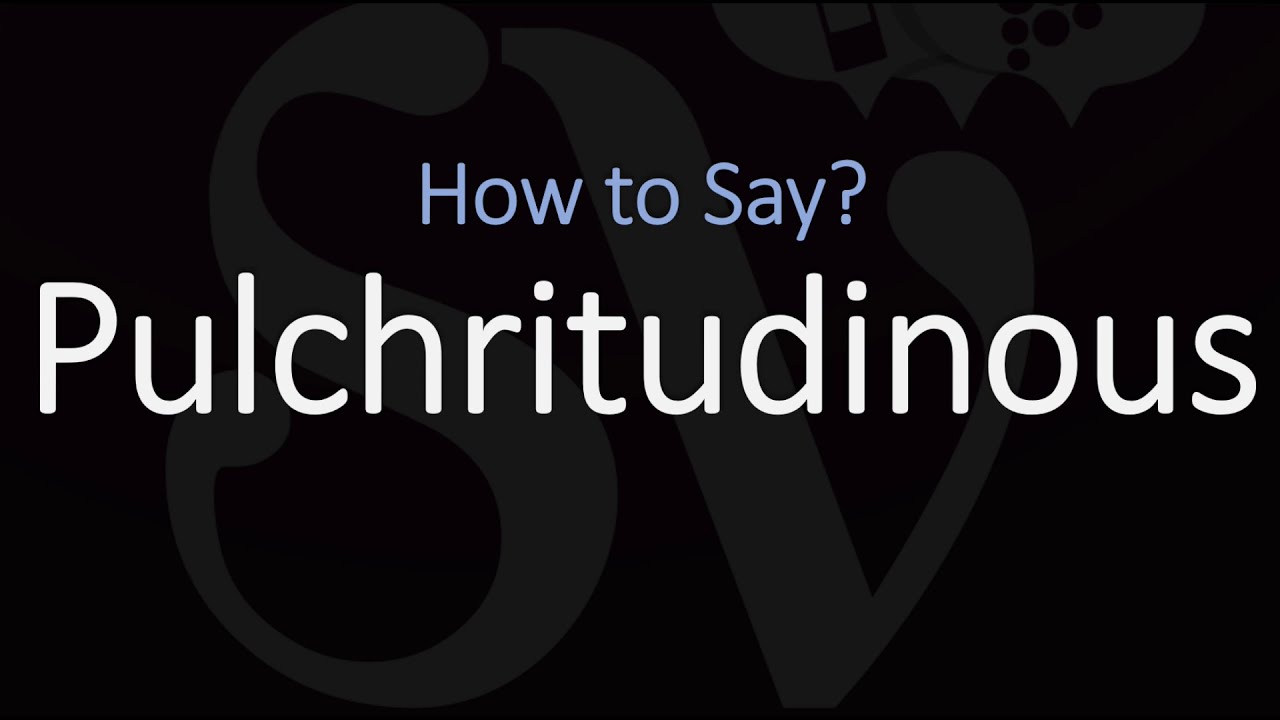 How to Pronounce Pulchritudinous CORRECTLY Meaning Definition  Pronunciation