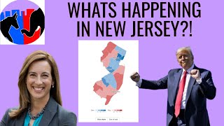 NEW JERSEY IS ELECTING A GOVERNOR. - A Bipartisan Look at the 2025 NJ Gov Race