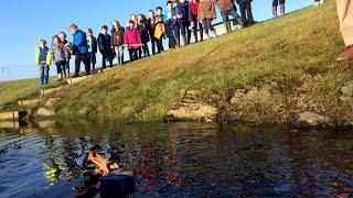 elementary school students give class pets a viking inspired funeral