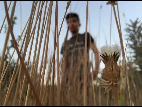 Ala Gözlüm Afro House