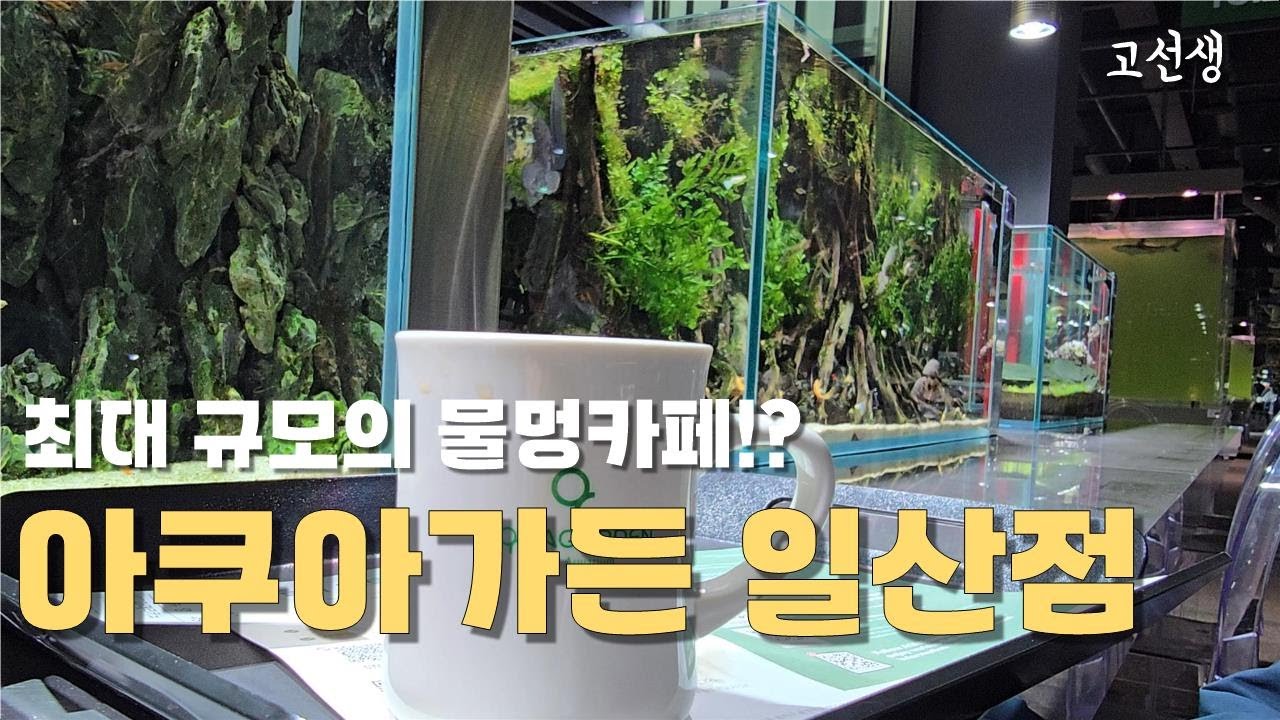 건물 전체가 수족관 카페?