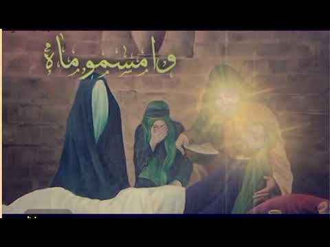 وسط الكلب يحسين نارك وناري باسم الكربلائي استشهاد الامام الحسن ع 