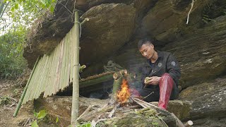 Bushcraft Camping in a Cave, Catch and Cook, Roasted Catfish  Building a Cliff Shelter  ASMR