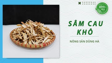 Nên ngâm sâm cau tươi hay sâm cau khô, ngâm loại nào tốt hơn ?