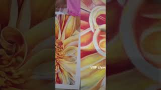 Botanical art  Lyra polycolor on 250gsm mixed media paper Fabriano. screenshot 4