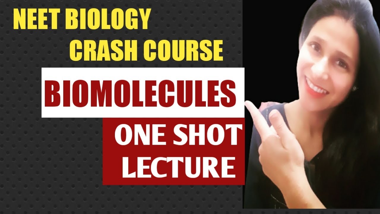 BIOMOLECULES CLASS 11 ONE SHOT YouTube