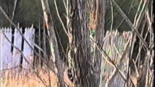 Old School Autococker Duel Paintball