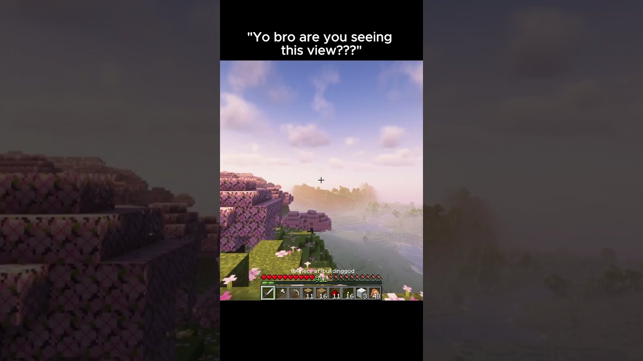 Yeah Definitely Minecraft Viralvideo