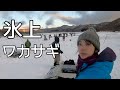 赤城大沼で氷上ワカサギ釣り の動画、YouTube動画。