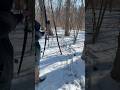Frozen Old Goat #archery #traditionalarchery #bowhunting #blackhunterlongbow