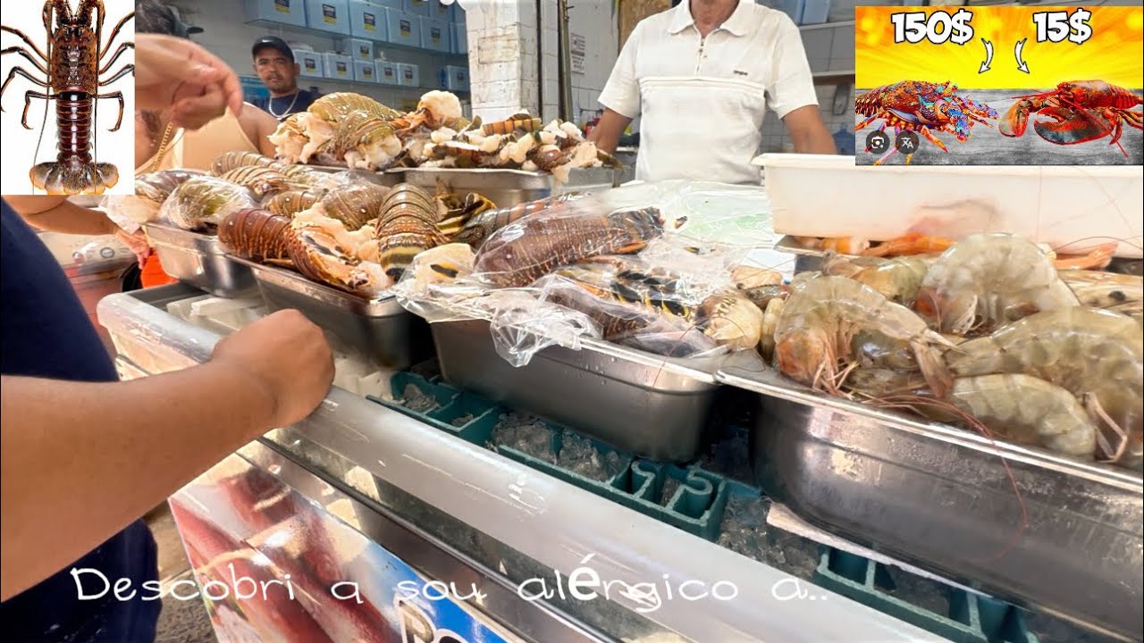 Um dia no mercado de peixes totalmente diferente do comum 