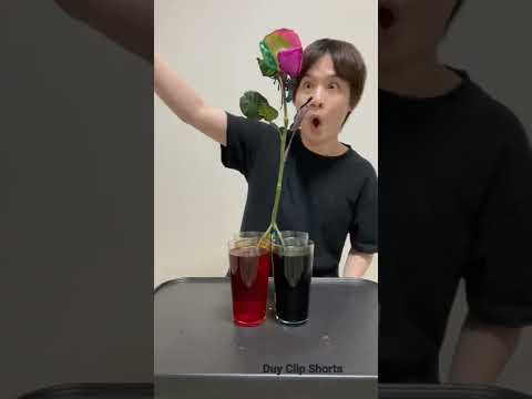 Những clip triệu