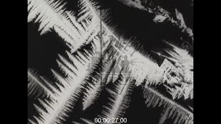 Collection of Pioneer Scientific Films, 1910s-1930s - Film 1001204