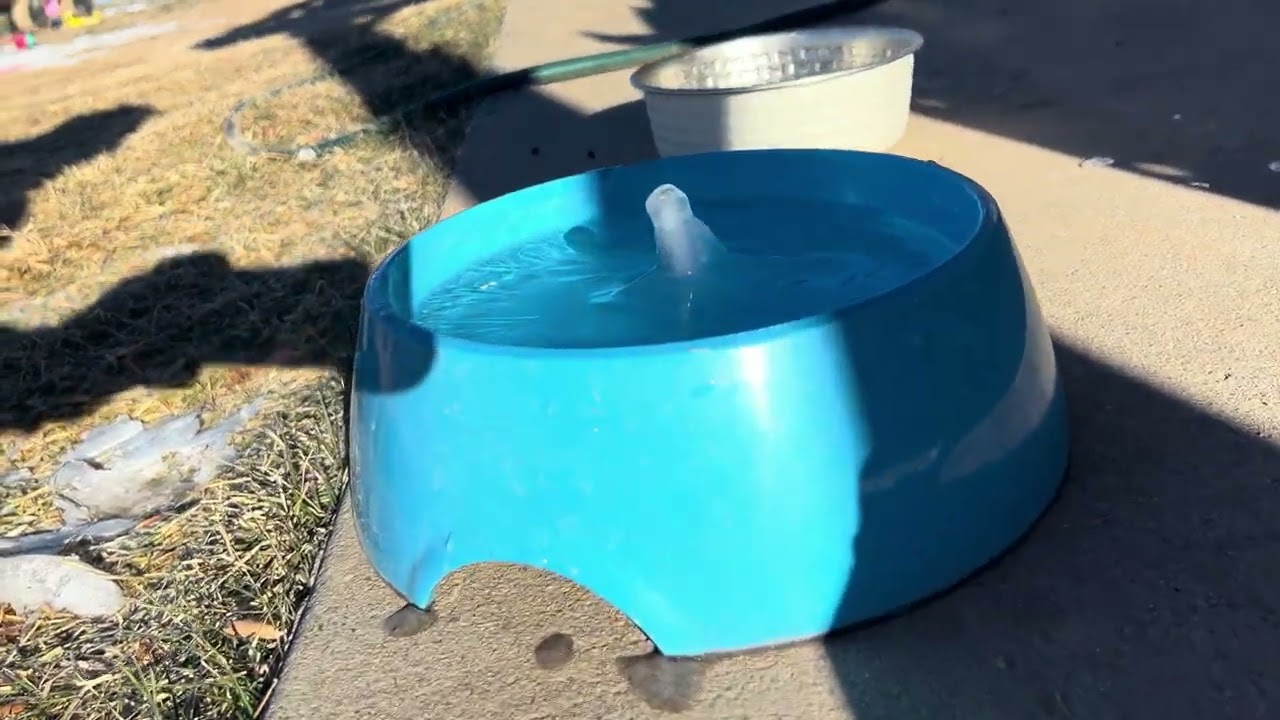 Glitch in the matrix with dog’s water?