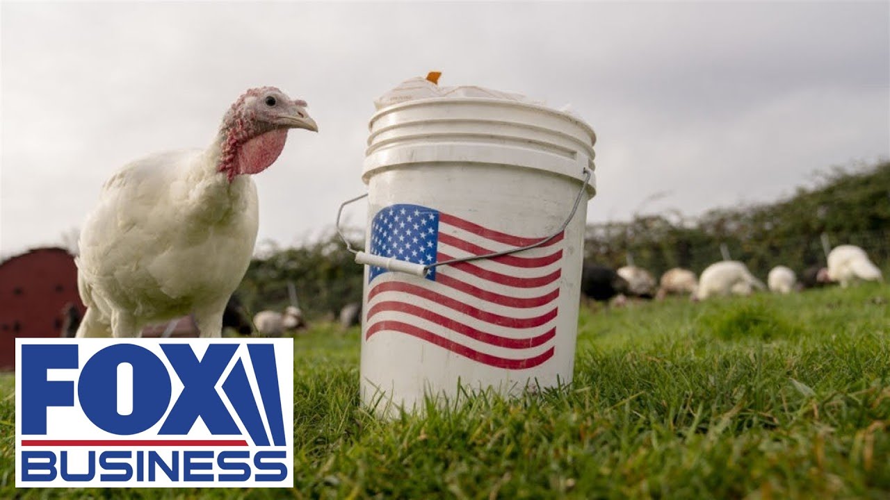 Are more Americans 'winging' it this Thanksgiving?