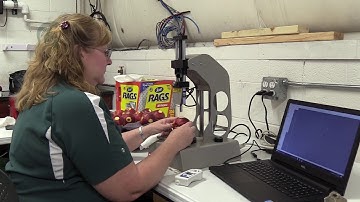 MSUE Ridge Apple Lab Compac Sorter