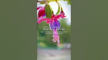 تلاوة عطرة من سورة الأنبياء للقارئ اسلام صبحي #quran #قرآن #تلاوة_خاشعة #اذكروا_الله_يذكركم #أذكار