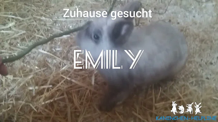 Emily - Verein Kaninchen-Helpli...