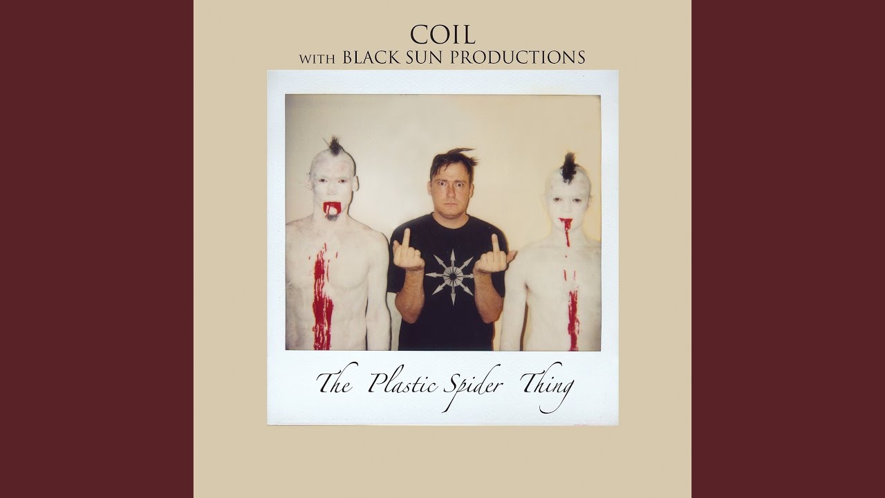 More Photographs and Polaroids Are Good!