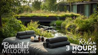 Calm Relaxing Background Music, Instant Calm Beautiful Relaxing Sleep Music, No Ads