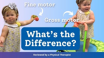 Gross vs. Fine Motor Skills: Understanding the Difference & Activities to Support Development