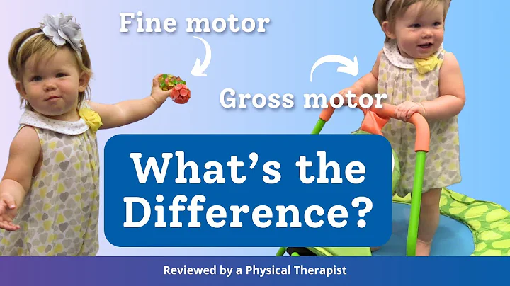 Gross vs. Fine Motor Skills: Understanding the Difference & Activities to Support Development