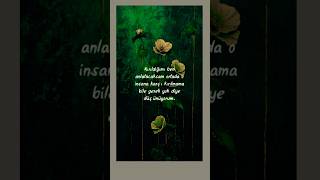 Anlamlı Sözler Isözler Özler Üzelsözler