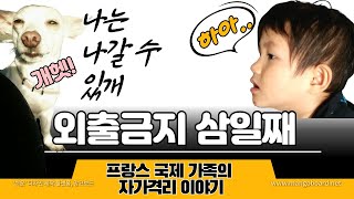 프랑스 전국민 자가격리 중 - 엄격한 외출금지에도 강아지 산책은 가능한 이유! (프랑스 생활 l 프랑스 가정식)