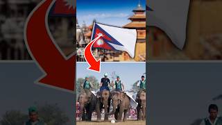¡Elefantes jugando al fútbol en Nepal es una locura! 🐘⚽