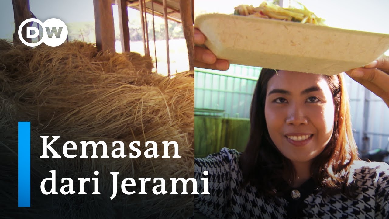 Kemasan Makanan Ramah Lingkungan dari Limbah Jerami Padi