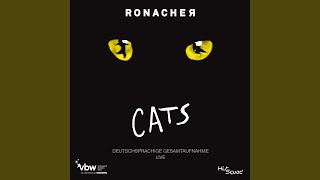 Video thumbnail of "Release - Jellicle Katzen (Live)"