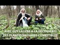 Avec guy lalire  la dcouverte des plantes sauvages comestibles