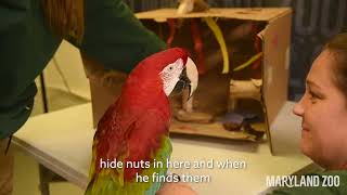 Animal Architects: Engineering for Wildlife