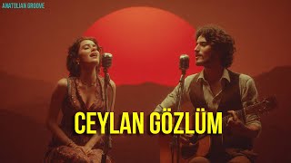 Ceylan Gözlüm Psychedelic Anatolian Rock Cover