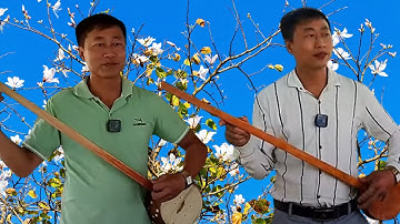 Tính Tẩu – Âm Thanh Núi Rừng | Lay Động Trái Tim Người Nghe | Khắp Thái