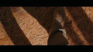 Blackmagic 6k pro_(XEEN 24 mm) screenshot 4