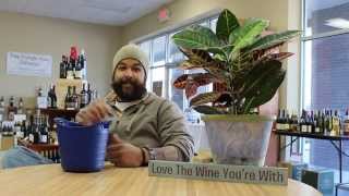 Westgate Wine Referral Reward Winner #3!
