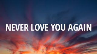 Video thumbnail of "Cheat Codes - Never Love You Again (Lyrics) Ft. Little Big Town, Bryn Christopher, Andrew Jackson"