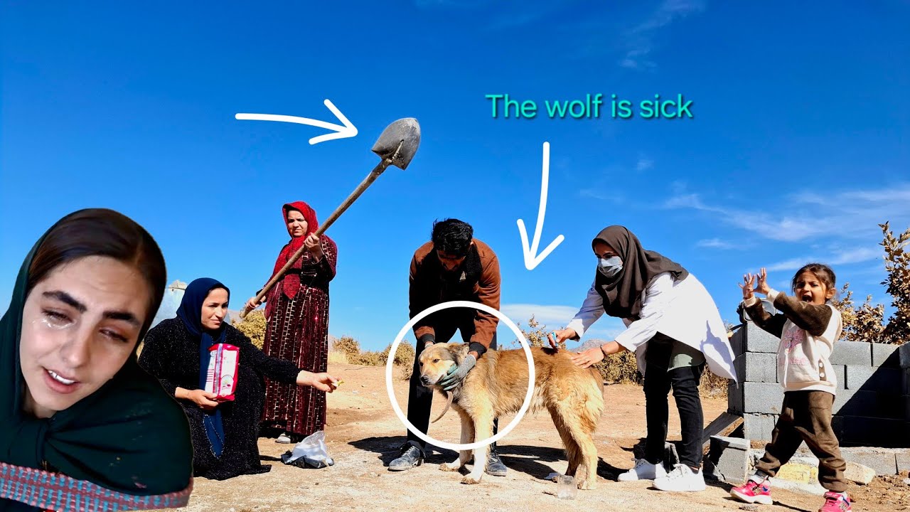 «Безмолвные слёзы 😢: Любовь инженера к Гарги проступает насквозь»