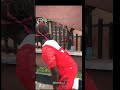 please subscriber