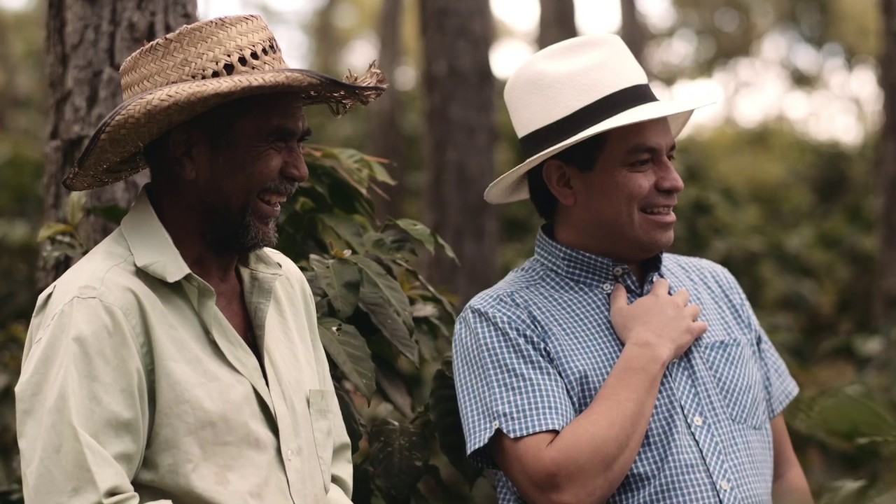 From Farm To Cup | Caffè Nero