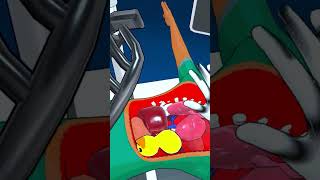 The Duck Goes Next to the Kidney, Right? - Surgineer VR