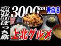 【3000km車中泊ぼっち旅】上北名物バラ焼き！ぼっちのグルメ？北東北3県（岩手・秋田・青森）道の駅全部巡る旅！11日目青森8