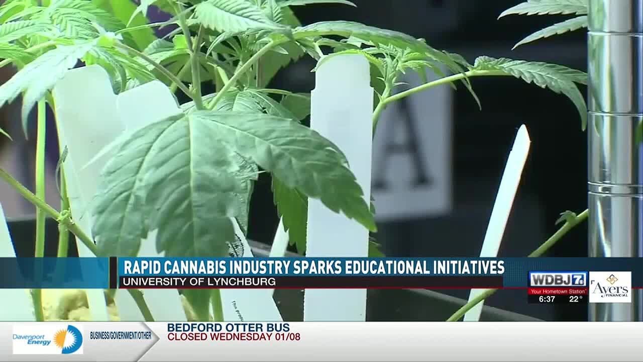 Cannabis Industry Growth Spark Education Initiatives at University of Lynchburg