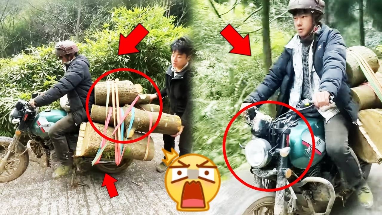 A motorcycle driver earns money by delivering 1,008 logs along steep, winding mountain roads.#funny