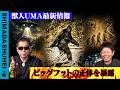 獣人UMA最新情報　ビッグフットの正体を暴露