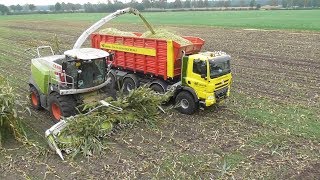 Tatra - Wink Breklenkamp Maishakselen