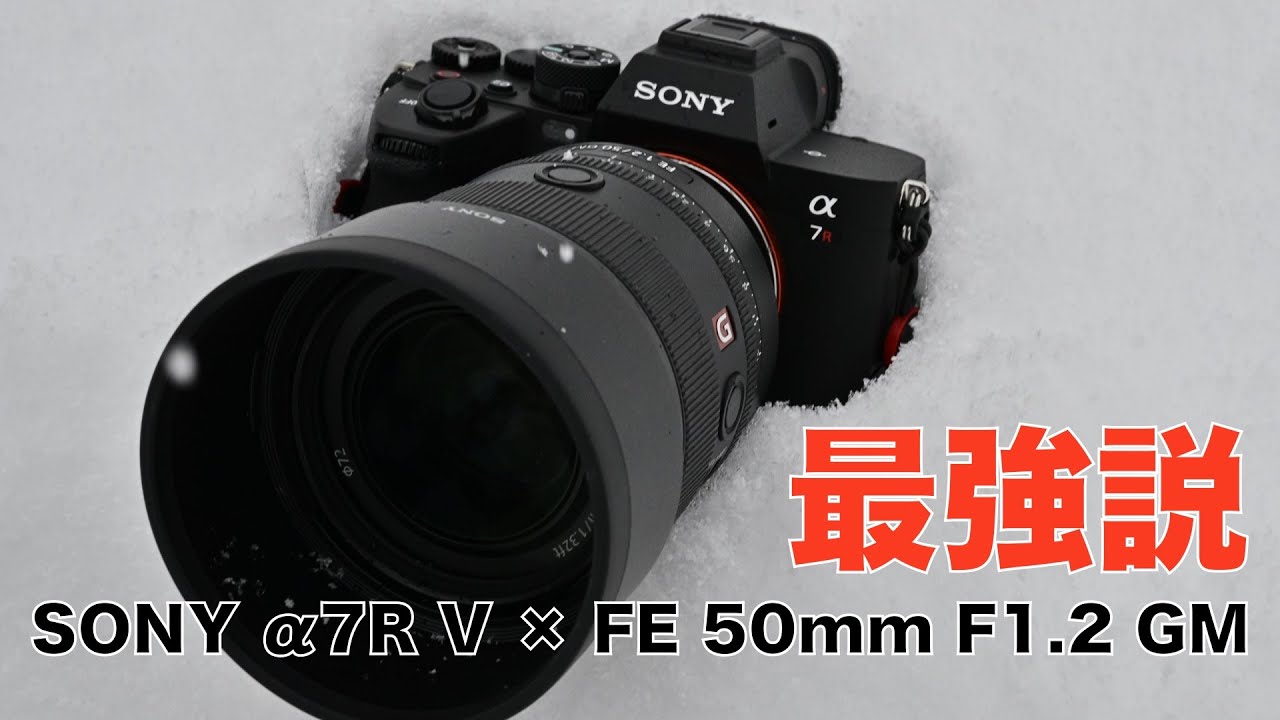 SONY FE50mm F1.2gm (値下げ不可) SONY FE50mm F1.2gm (値下げ不可) FE 50mm F1.2 GM 安くはないが多く